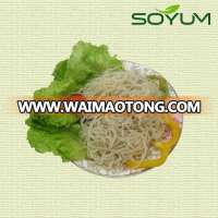 seaweed konjac shirataki noodles/vegetable style slimming noodles